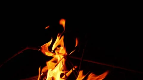 Close shot of burning bushes, View of flames with black background Stock Footage 148207592