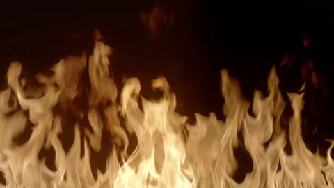 Close-up shot of burning fire 4K. Bonfire burning at night. Flames on bla Stock Footage 156862495