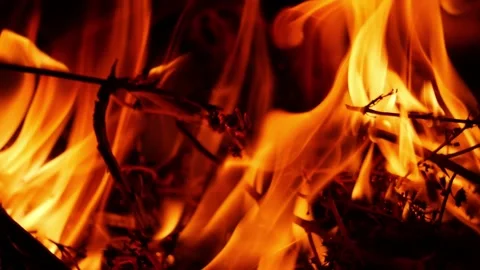 Close shot of burning woods, Burning woods close shot Vídeo Stock 148210778