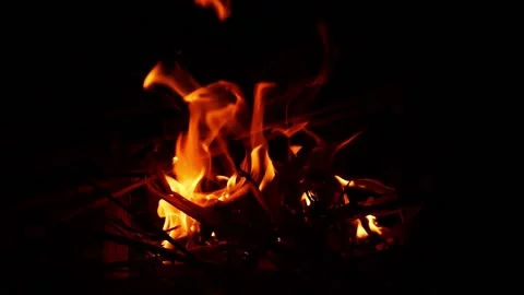 Close shot of burning woods, Flames of fire due to burning woods Stock Footage 148209602