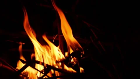 Close shot of burning woods, Small fire flames due to burning woods Stock Footage 148210230