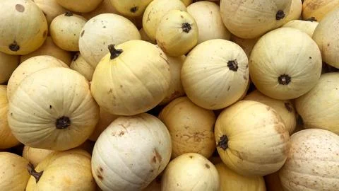 A close up shot of butternut squash piled in a bin, showing their smooth, y.. Stock Photos