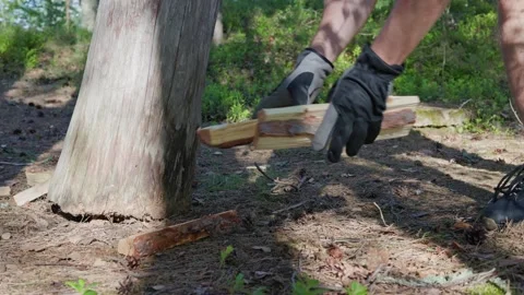 A close-up shot captures a man dropping firewood to the ground Stock Footage 338412687