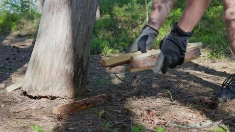 A close-up shot captures a man dropping firewood to the ground Stock Footage 338412690