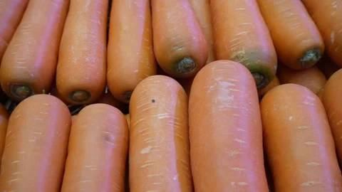 Close up shot of carrot Video stock 231555057