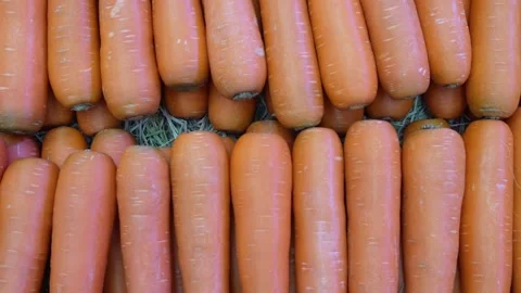 Close up shot of carrot Video stock 231555135