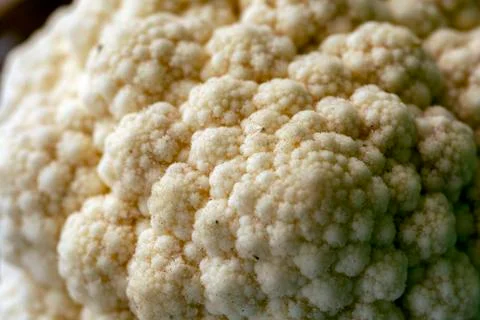 Close up shot of a cauliflower Stock Photos
