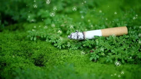 Close up shot of cigarette butt with lung symbol Stock Footage 300061646
