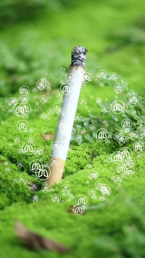 Close up shot of cigarette butt with lung symbol Video stock 300062308