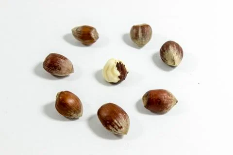 Close-up shot of circular positioned hazelnuts with blurry white background Stock Photos