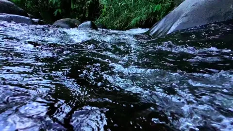 Close-up shot of clear river water flowing in the mountains Stock Footage 279786653