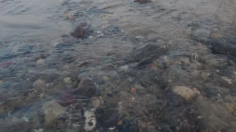 Close-up shot of clear shallow ocean water flowing over a rocky pebble beach. Stock Footage 337773961