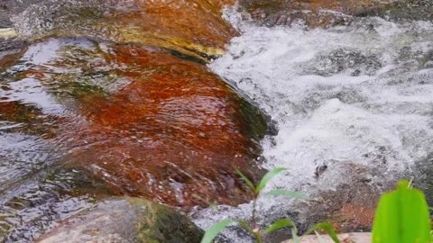 Close-up shot of clear stream rushing between reddish-brown rocks Stock Footage 340792016