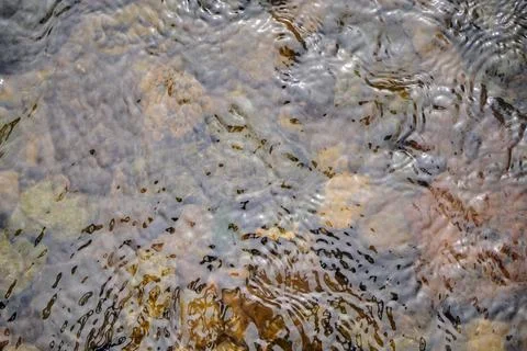 Close-up shot of clear water current flowing over smooth river rocks. Fotos Stock