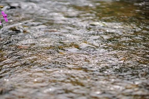 Close-up shot of clear water current flowing over smooth river rocks. Fotos Stock