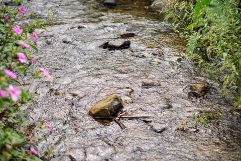 Close-up shot of clear water current flowing over smooth river rocks. Fotos Stock