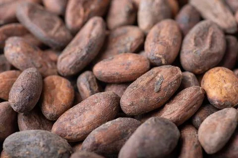 Close up shot of cocoa beans Stock Photos