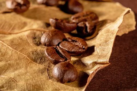 Close-up shot of coffee beans on a rustic dry almond leaf background Stock Photos