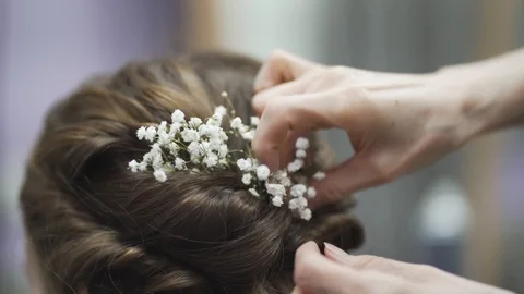 Close shot of Common baby's-breath or Gypsophila being put in hair of a bride. Stock Footage 122259271
