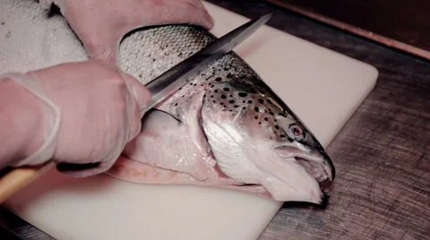 Close up shot the cook cut fresh red fish Stock Footage 65507212