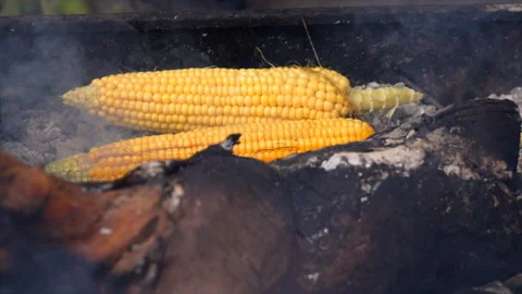 Close Shot of Cooking Corn on Coal Super Slow Motion Stock-Footage 262165754