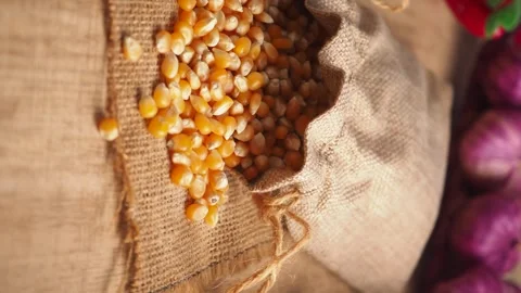 Close up shot of corn grains from a sack on a wooden table with spices footag Vídeos de archivo 332892600