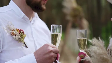 Close up shot of couple in love clinking white wine glasses in park, slow motion Stock Footage 204940871