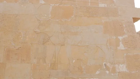 Close-Up Shot of a Cow Pattern on The Wall Stock Footage 128331987