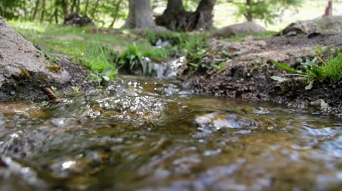 A close-up shot of a creek in a forest Stock Footage 25936415