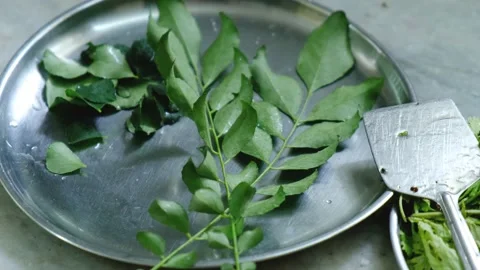 Close up Shot of curry leaves. Stock Footage 161948227
