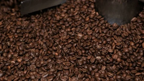 Close-up shot of dark coffee beans mixing in cooler. Mixing roasted coffee Stock Footage 115876921