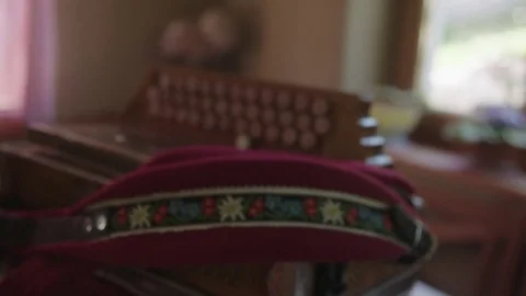 Close up shot of an diatonic button accordion Vídeo Stock 76556015
