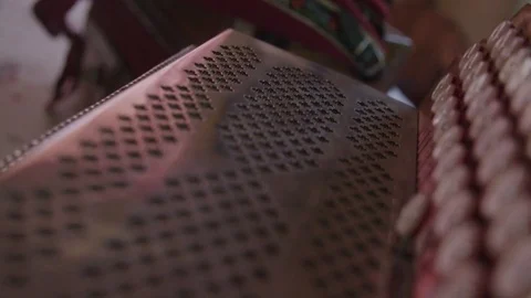 Close up shot of an diatonic button accordion 動画素材 76557192