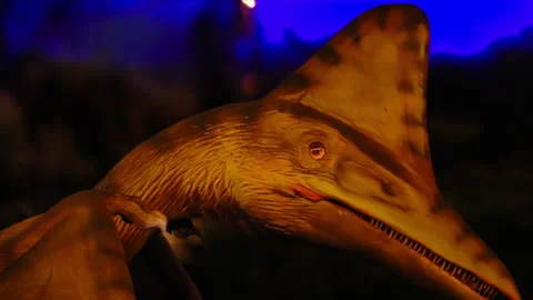 Close-up shot of a dinosaur bird model moving its head showing its vicious Vídeo Stock 239819769