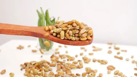 Close shot of dropping beans seeds from wooden spoon Stock Footage 159638378