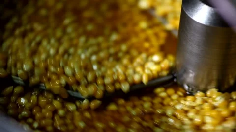 Close up shot of dry tiny corn seeds mixing with caramel cheese sweet flavoured  Stock Footage 137541509