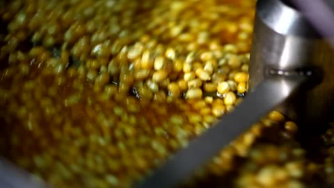 Close up shot of dry tiny corn seeds mixing with cheese caramel sweet flavoured  Stock Footage 137541527