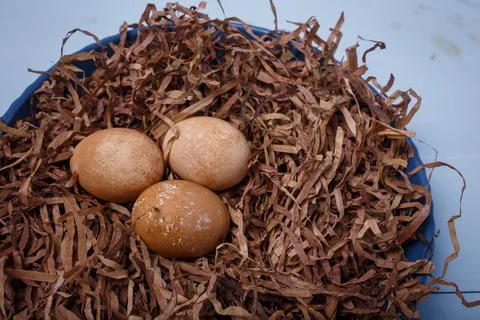 Close up shot of Easter eggs colored with coffee in brown decorative nest Foto stock