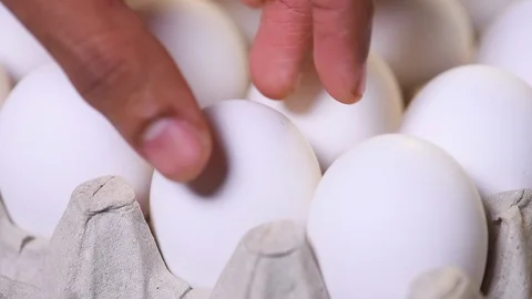 Close-up Shot of Egg Replacing in a Egg Carton Stock Footage