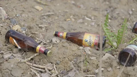 Close up shot an empty beer bottles left littered on the ground. Stock Footage 130841361