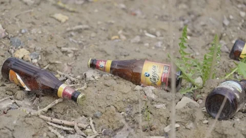 Close up shot an empty beer bottles left littered on the ground. Video stock 130841386
