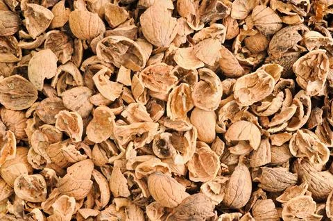 Close-up shot of empty shells of walnuts and nuts scattered on a table Stockfoto's