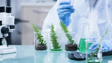 Close up shot experimenting on plants with gmo in modern research facility 스톡 동영상 280060582