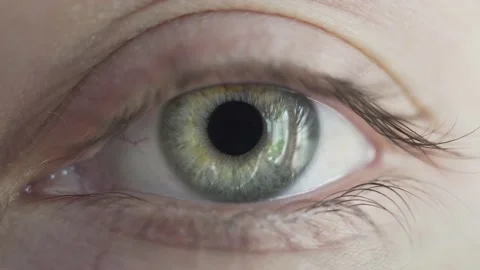 Close up shot of eye blinking with beautiful green iris. Healthy eyesight concep Stock Footage 164110595