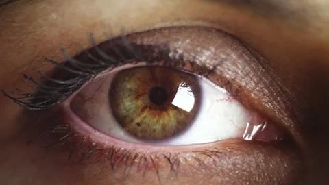 Close up shot of eye opening with beautiful green iris. Healthy eyesight concept Stock Footage 153552117