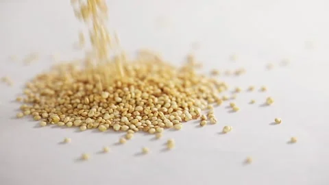 Close-up shot of falling white quinoa on a white background spinning on a table Stock Footage 152761494