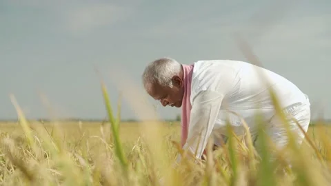 Close up shot of Farmer doing work in rice field Stock Footage 143907418
