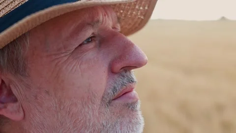A close-up shot of farmer standing in the wheat Stock Footage 249699844