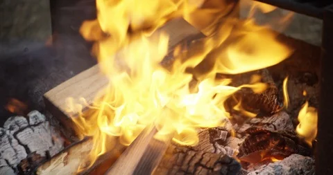 Close up shot of fire burning over firewood, flames raging Stock Footage 117132380