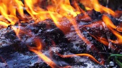 Close up: Shot of fire flames on a black background Stock Footage 220173637